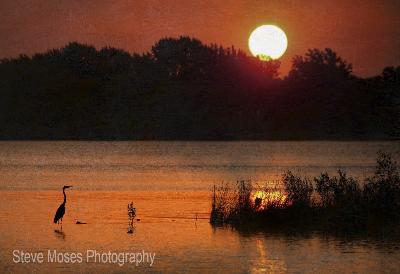 Tranqulity_watermarked